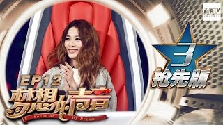 [ 3/5 ] Sound of My Dream EP.12 Sneak Peek 20170113 /ZhejiangTV HD/