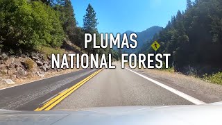 Plumas National Forest Scenic Drive in 4K