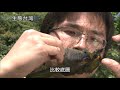 生態台灣系列影集 第001集 福爾摩沙野性之美 台灣的野生動物資源