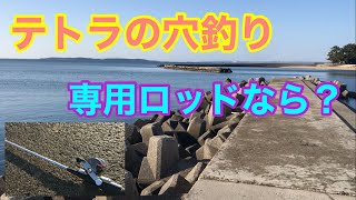 テトラの穴釣り専用ロッドなら？三河湾