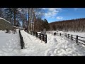 sapporo snow lake walk tourism things to do attractions nature winter snow japow