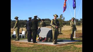 The Yellow-box Eucalypt