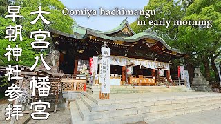 【神社巡り】東京大宮八幡宮へ早朝参拝 「東京のへそ」とも呼ばれ、JO1も祈願に訪れた都内の神社。