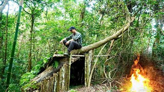 Build shelter under fallen tree to survive | Outdoor cooking.