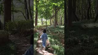 Walking in the forest with my 4yrs old son ASMR