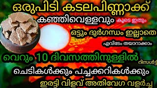 ചെടികളുടെ വളർച്ച വേഗത്തിലാക്കാൻ ഈ വളം മതി|kadalappinnakku fertilizer| Advantages of groundnut cake