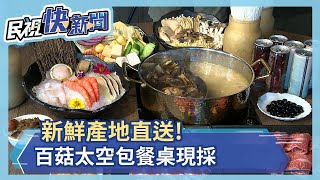 新鮮產地直送! 百菇太空包餐桌現採－民視新聞