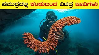 ಸಮುದ್ರದಲ್ಲಿ ಕಂಡುಬಂದ ವಿಚಿತ್ರ ಜೀವಿಗಳು | 5 Unbelievable Deep Sea Creatures Found | Mermaid