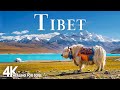 Tibet 4K Scenic Relaxation Film - Calming Piano Music - Travel Nature ( 4K Video Ultra HD)