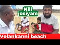 Kili josiyam in Tamil at velankanni beach | kili josiyam unmaiya | parrot astrology in tamil