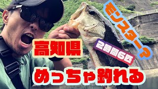 高知県穴場　ブラックバス釣り　モンスター！？　２時間６匹