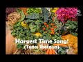 Harvest Time Song (Tune: Shotgun/George Ezra) Harvest Celebration - Rhona Alcorn