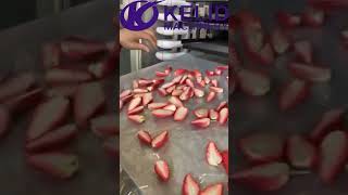 The Freeze Vacuum Dryer for Fruits