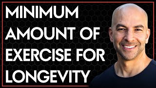 The minimum effective training for the four pillars of longevity | Peter Attia