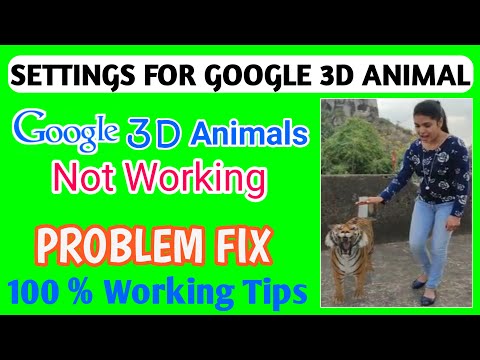 Google 3D Animals camera not working Problem resolution Show in your space Problem solved Lion 3D