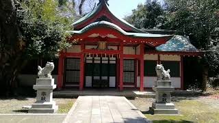 角鹿神社　つのが神社　敦賀の語源の神様　氣比神宮境内にご鎮座しています！　福井県敦賀市