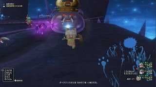 【DQX】ダークキングⅣ 3人討伐 雫なし 僧侶視点【戦士バト僧侶】