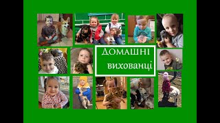 Домашні вихованці