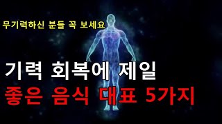 기력 회복 음식