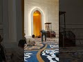 Mimbar Masjid Raya Sheikh Zayed Solo (Masjid Jokowi) #shorts #share #viral #solo #masjidmegah