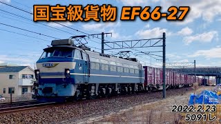 東海道線を駆け抜ける国宝級貨物EF66-27‼️#ef6627 #ニーナ