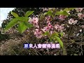 開始懂了ktv