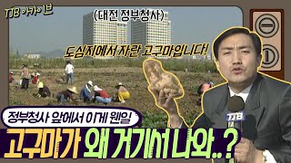 【TJB 아카이브】 엥? 고구마가 왜 거기서 나와..?!