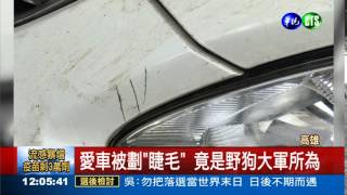 百萬名車遭刮 凶手竟是\