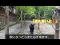 京都 観光 嵐山周辺　常寂光寺（じょうじゃっこうじ）にもみじを見に行ったよ。