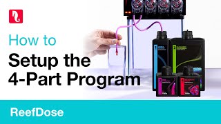 How to setup the 4-Part Program