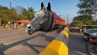 Dangerous Horse Headed Teesta Torsa Express Furious Moving Throughout At Railgate