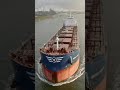 Bulk carrier Green K-Max 3 drone view #shorts