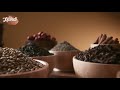 spices and herbs by handi serving across canada