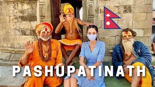 Foreigners exploring Pashupatinath Temple in Kathmandu Nepal 🇳🇵