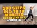 500 Steps in 5 to 10 Minutes for Beginners