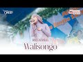 WALI SONGO - ISNA QASIMA LIVE NEPAL VAN JAVA