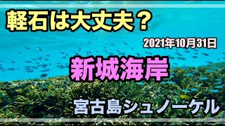 【軽石、宮古島は大丈夫？】新城海岸【宮古島シュノーケル】