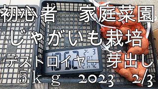 家庭菜園　初心者　じゃがいも　栽培　芽出し　デストロイヤー　2023　2/3