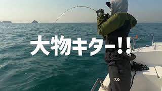 【予告】竿がぶち曲がり!大物キター!! タイラバ ジギング 六連島沖 2022年4月10日 マイボート ヤマハ UF21 福岡 北九州 山口 下関 船釣り オフショア