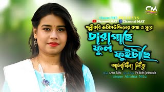 চারা গাছে ফুল ফুইটাছে|আলমিনা নিতু|Chara Gache Ful Fuitache|Almina Nitu|পল্লীকবি জসিমউদ্দিন|Folk Song