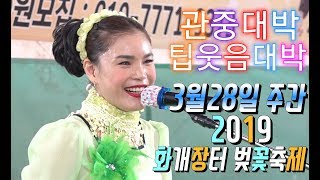 💗버드리 3월28일 주간 💗2019 화개장터 벚꽃축제 초청 공연