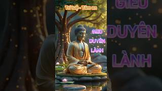 GIEO DUYÊN LÀNH – HẠT GIỐNG CỦA HẠNH PHÚC VÀ AN YÊN #gieoduyenlanh #Duyenlanh