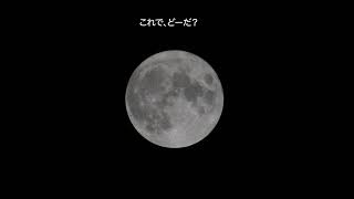 2022年9月10日中秋の名月in八千代市堀の内