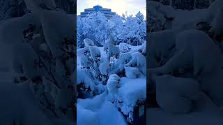 USA Heavy snow❄⛄ strom/night🌃 and morning🌞 view/#shorts #shortvideo #usa#snowstorm#america