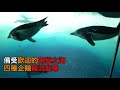 【名古屋港水族館】全日本最大的水族館 融入體驗與觀賞於一身