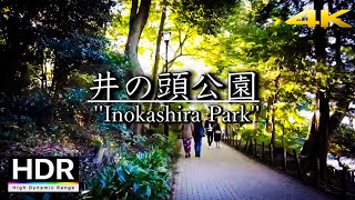 【4K HDR】③吉祥寺駅・井の頭公園を散歩(Kichijoji Station/Inokashira Park) - Tokyo JAPAN Walk