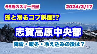 志賀高原中央部 孫と滑るコブ斜面 (2024/2/17 66歳のスキー日記)