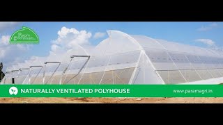 Naturally Ventilated Polyhouse (Greenhouse) by Param Greenhouses