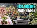 Bonsai Tree Biology (Made *EASY*)