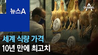 세계 식량 가격 10년 만에 최고치…우리 식탁 위협 | 뉴스A